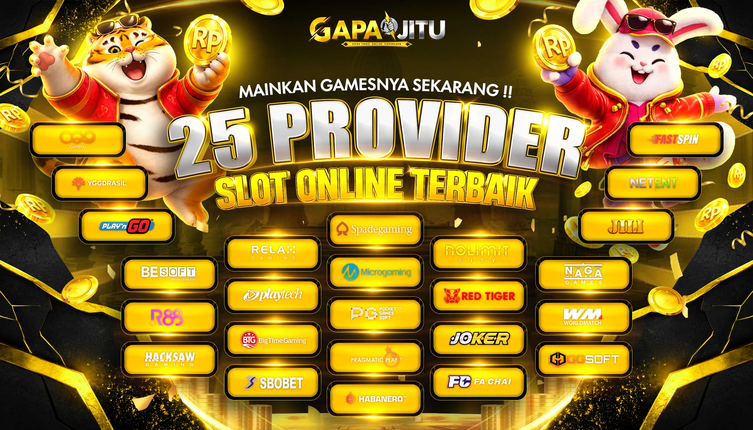 PROVIDER SLOT